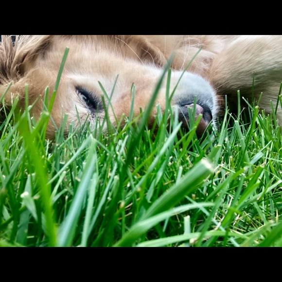 Meet your Posher, Emily - Picture 1 of 1